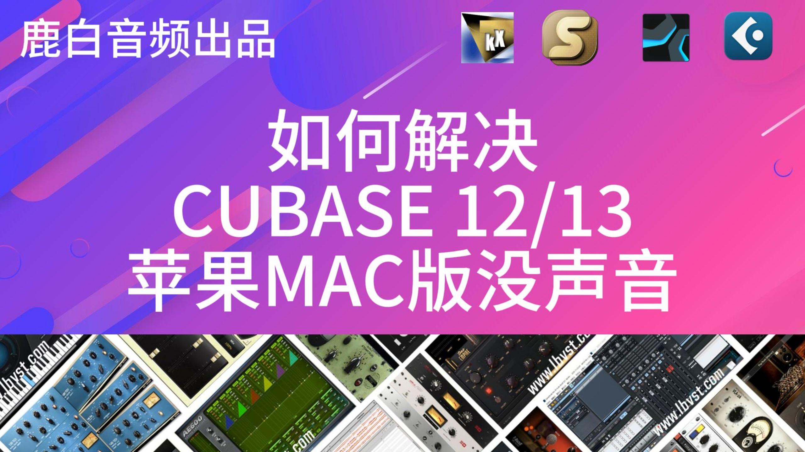 解决Cubase 12/13/14苹果MAC版麦克风没声音麦克风授权文件-鹿白音频网